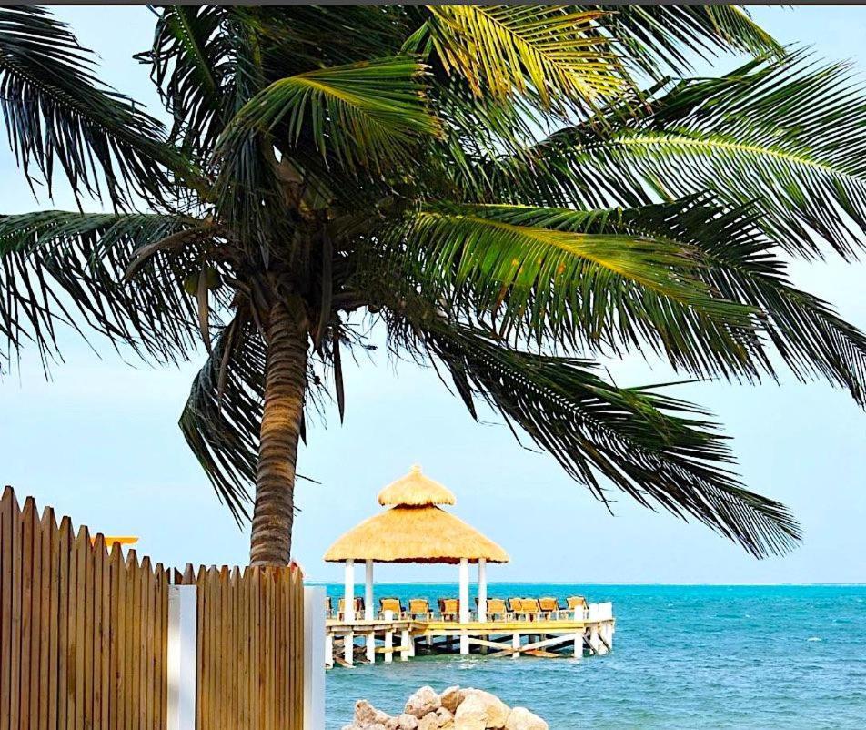 VeLento Beach Level #9 Caye Caulker Exterior foto